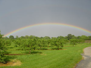 A rainbow over the fields.